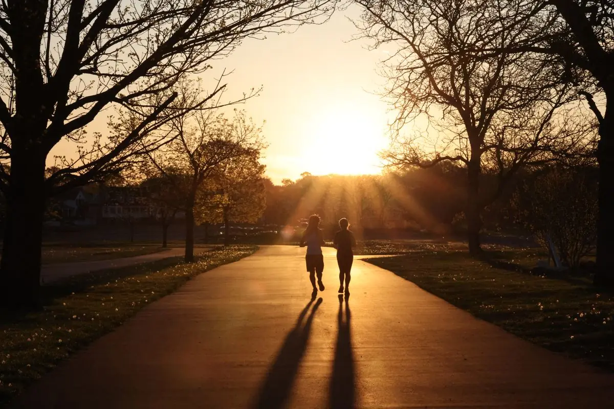 Silhouetted runners on a park path at sunrise in Stamford.
