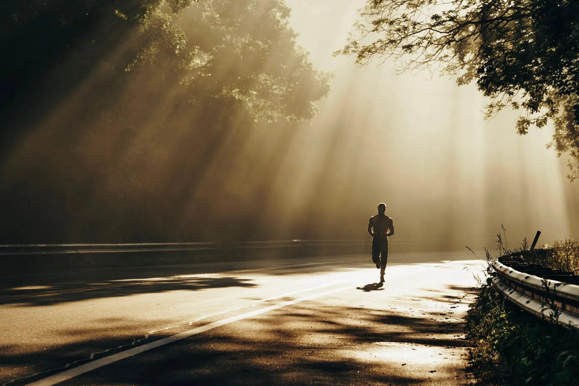 A runner on a forest road in the morning light